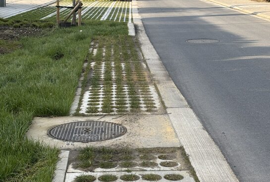 Waterdoorlatende parkeerstroken en groene infiltratiezones in de vernieuwde Kervijnstraat in Harelbeke, met gescheiden riolering en wadi’s langs de straat.
