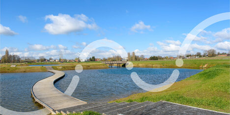 Waterspaarbekken
