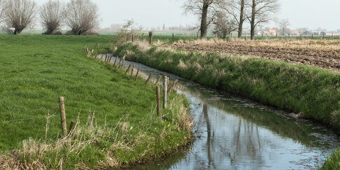 foto van een beek